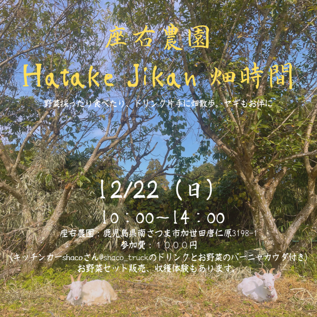 畑で小イベントを開催します！