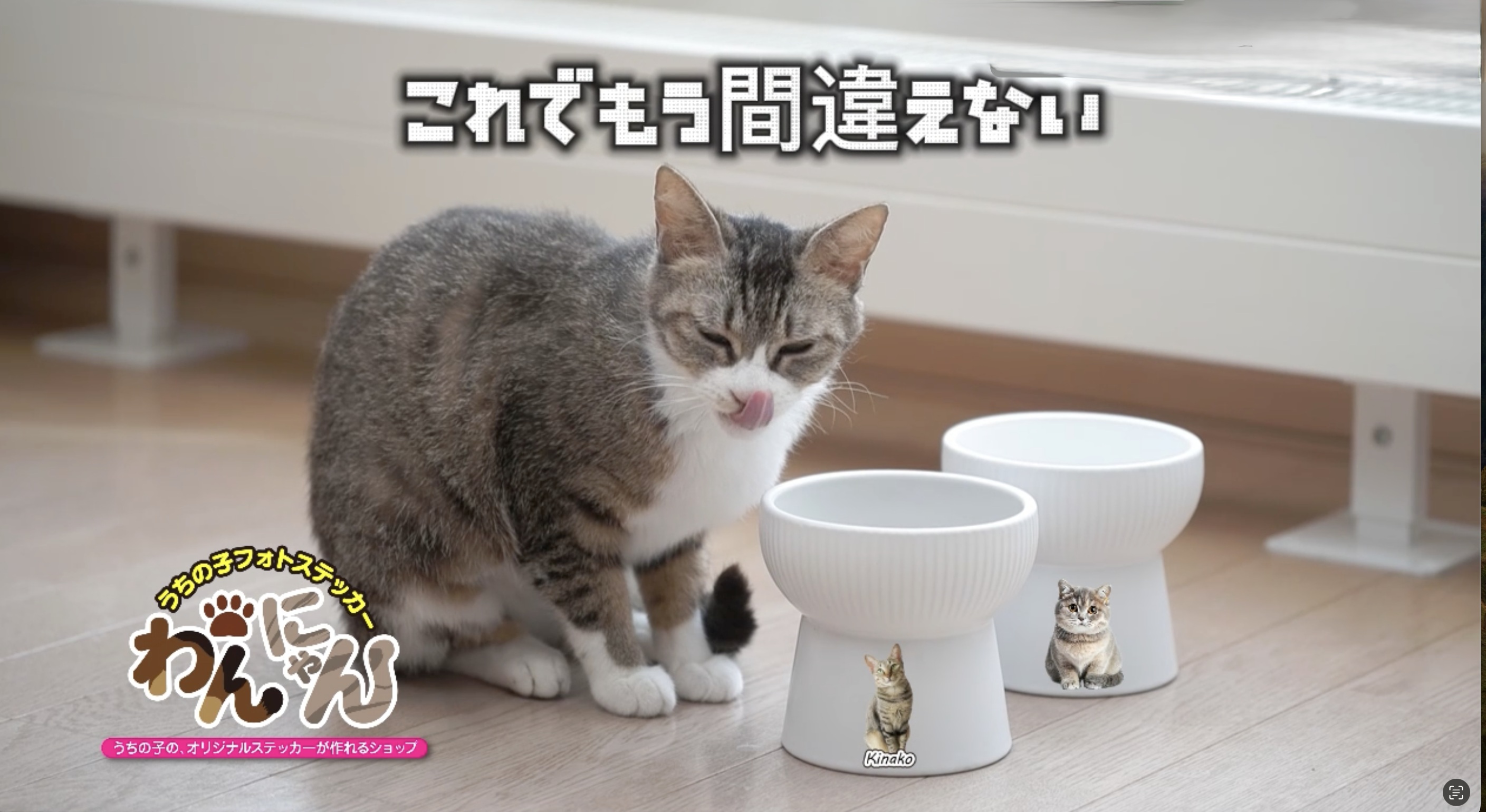 2024072728_これでもう間違えない！
