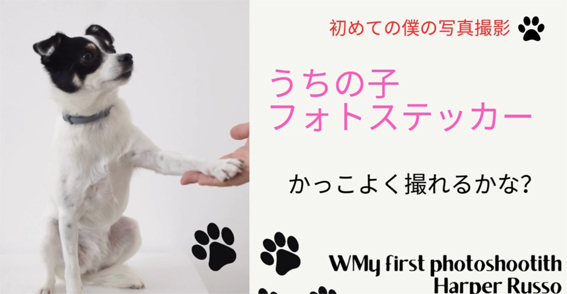 20240929うちの子撮影中！