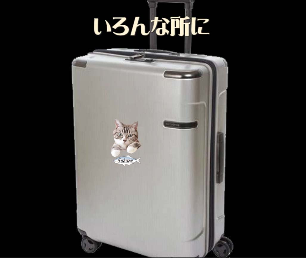 20241214_11うちの子の写真を用途に合わせて色んな所に貼っちゃおう‼︎