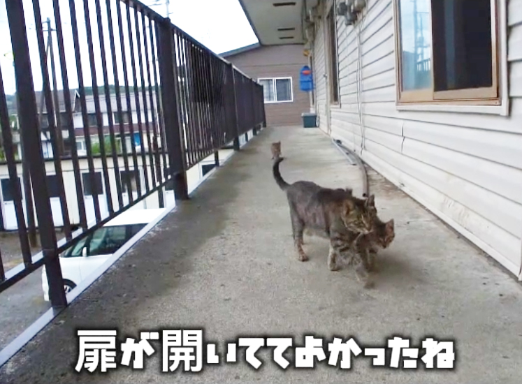 20241012 169扉はもう開かない！