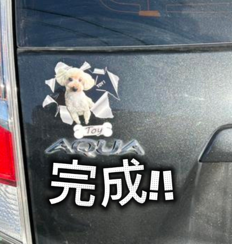 20241217 11飛び出すうちの子貼ってみた