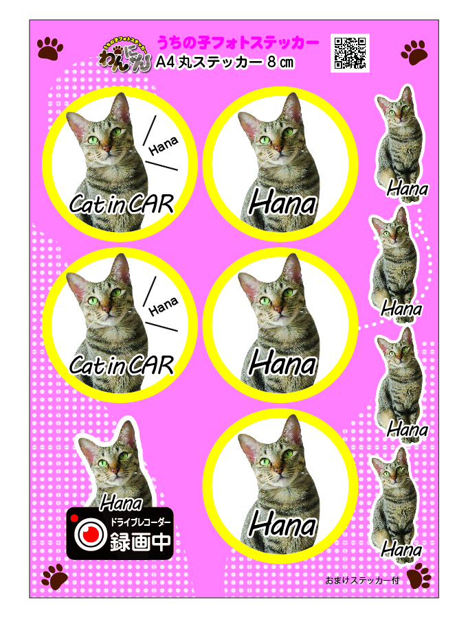 dog in car /cat in carにドライブレコーダーステッカーが加わりました!
