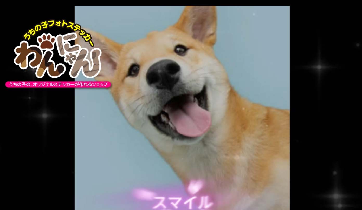🎍✨お正月企画✨🎍もう数日です