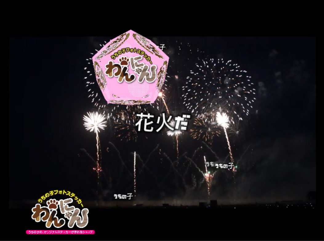 20240816夏だ！花火だ！うちの子だ！