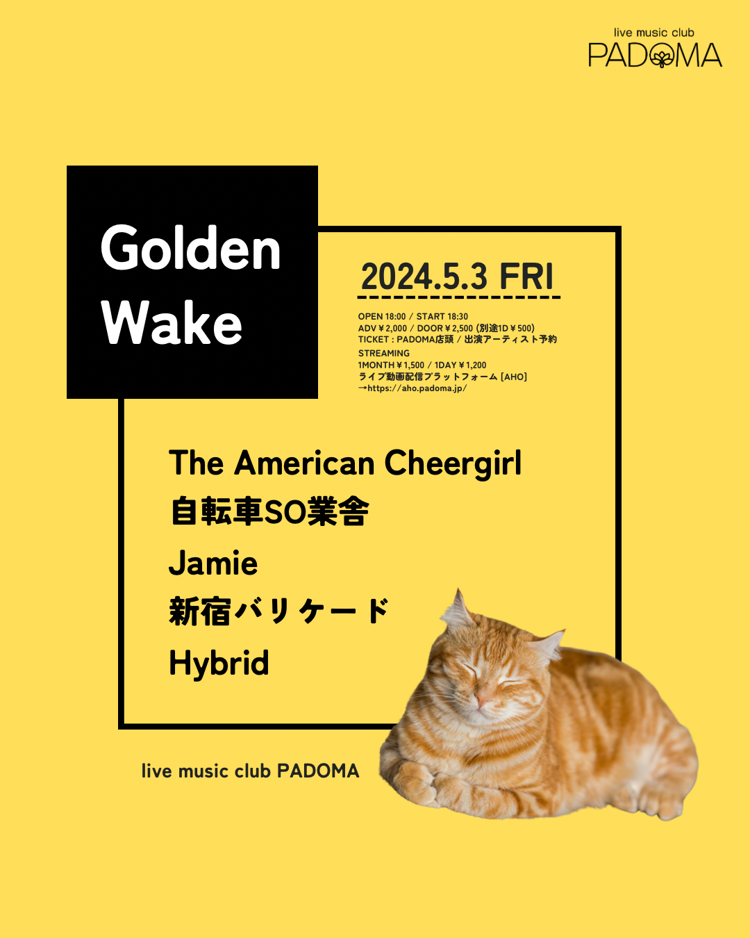 2024.05.03（金） live music club PADOMA