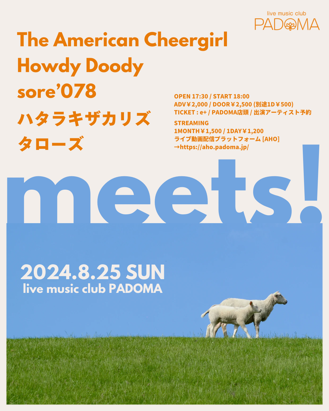 2024.8.25（日） live music club PADOMA