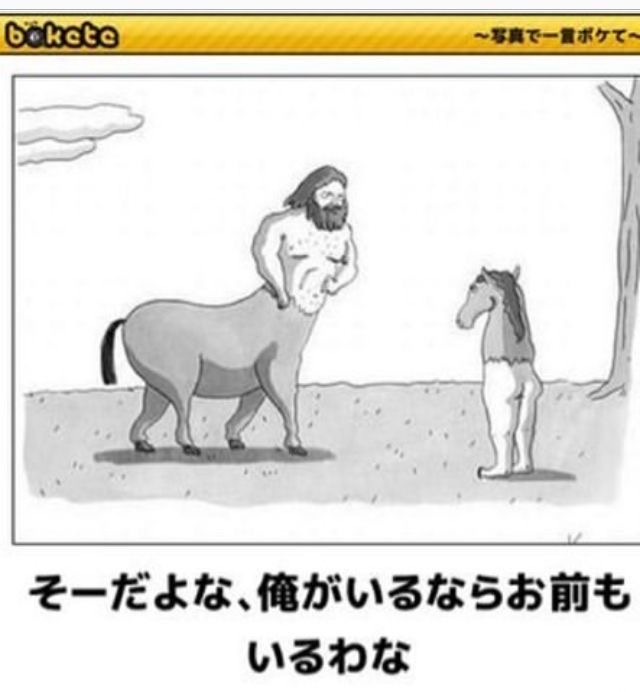 異文化の交流