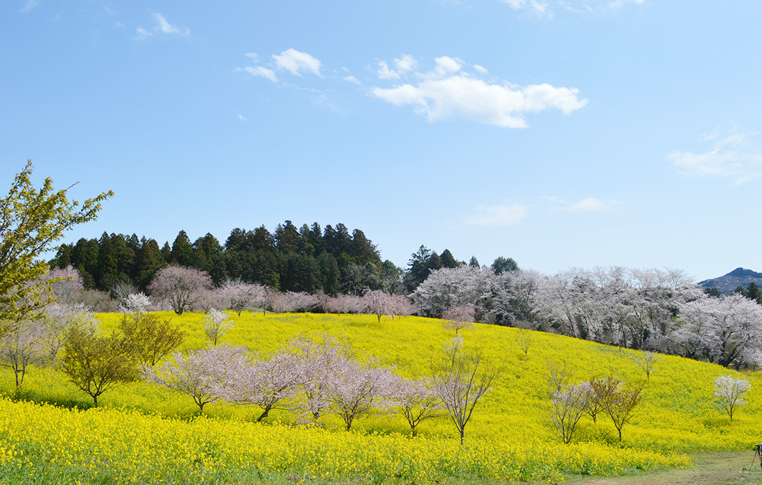益子町
