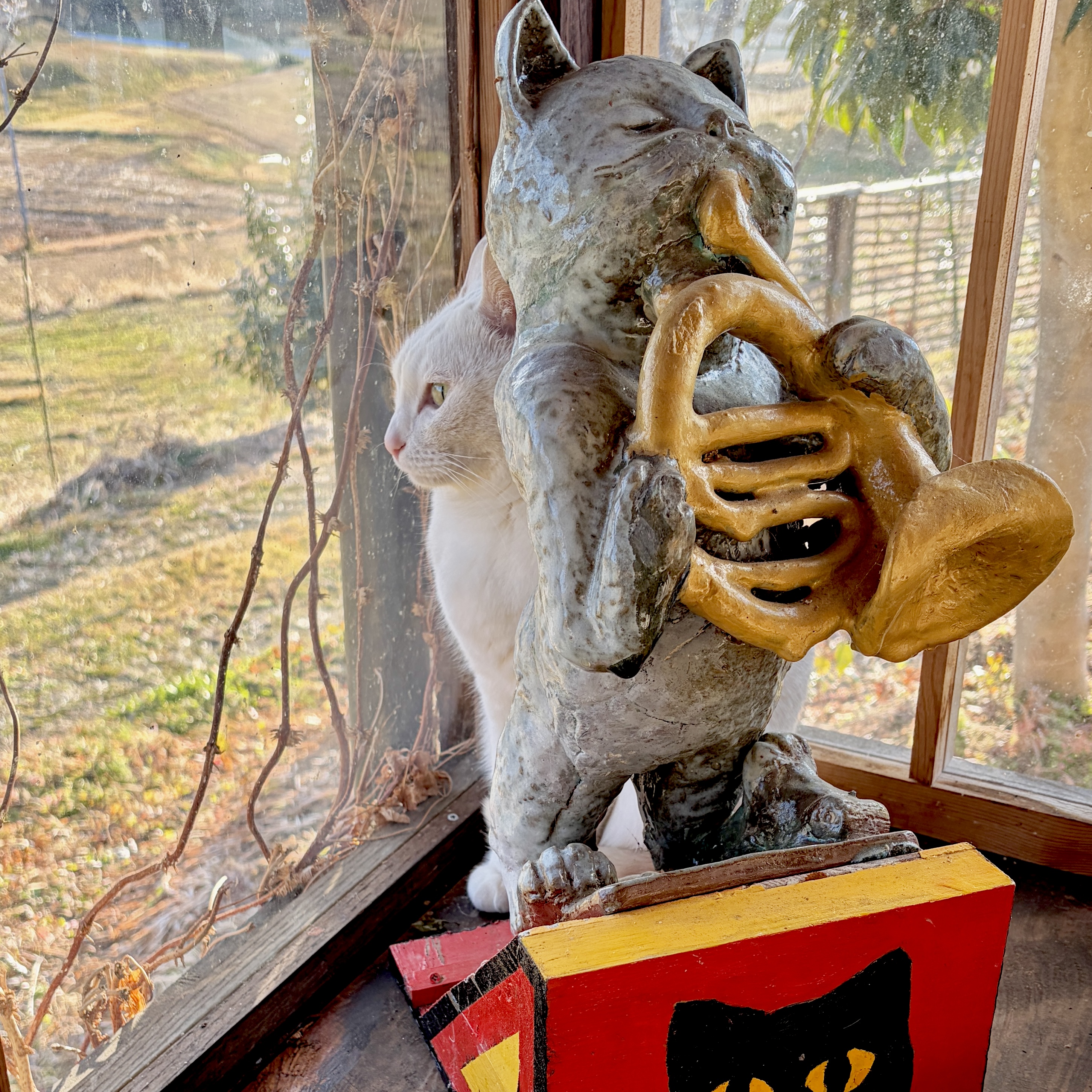 可愛いの定義とは