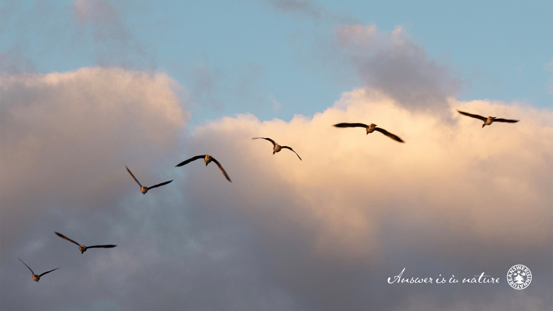 年末年始の配送について