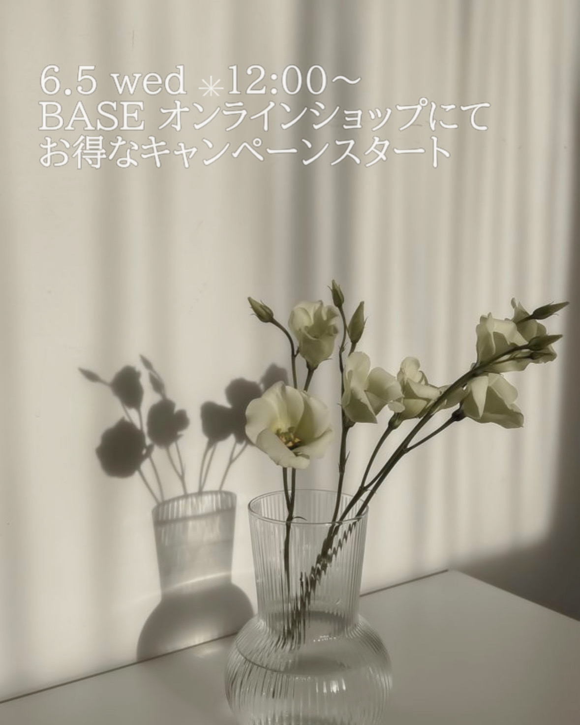 6.5 ✳︎Instagramキャンペーンスタート！