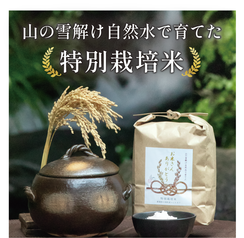 新商品「お米さん ありがとう」販売開始