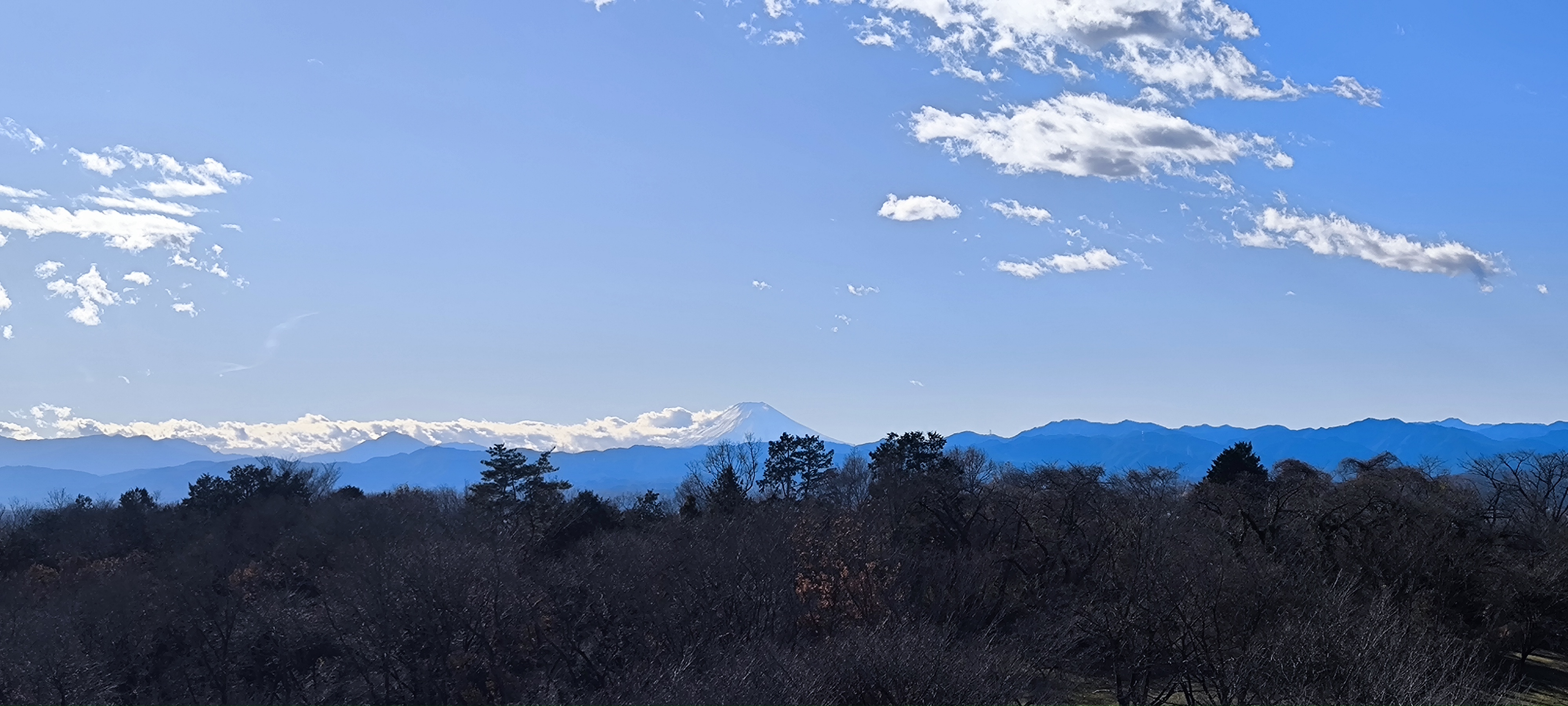荷物の遅延と年末年始の注文について