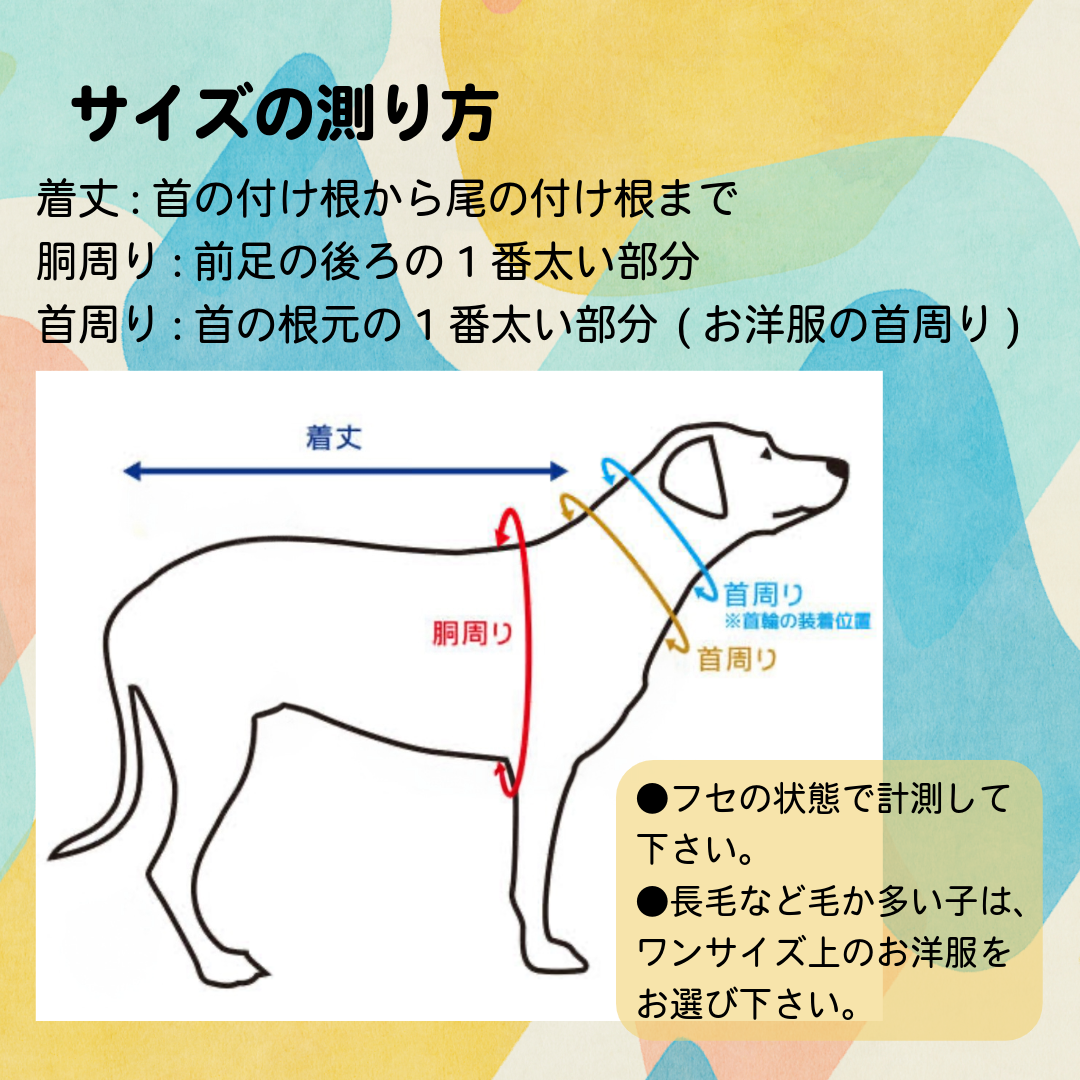 サイズの測り方について