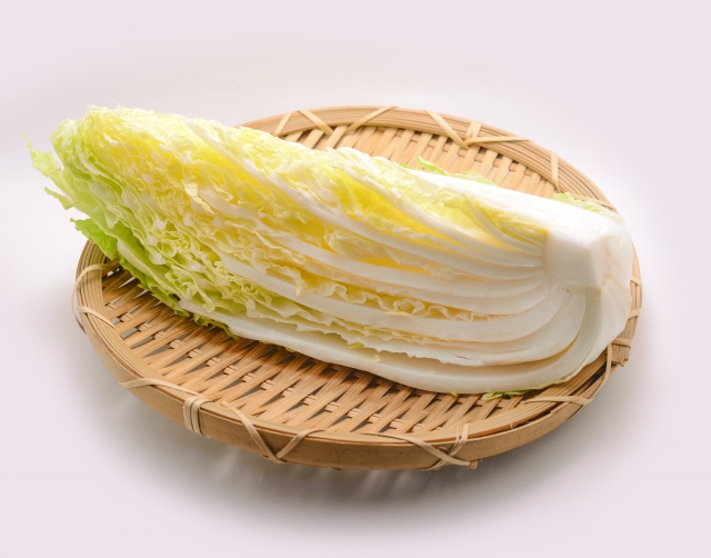 『長野県産の白菜』特徴と品質を解説