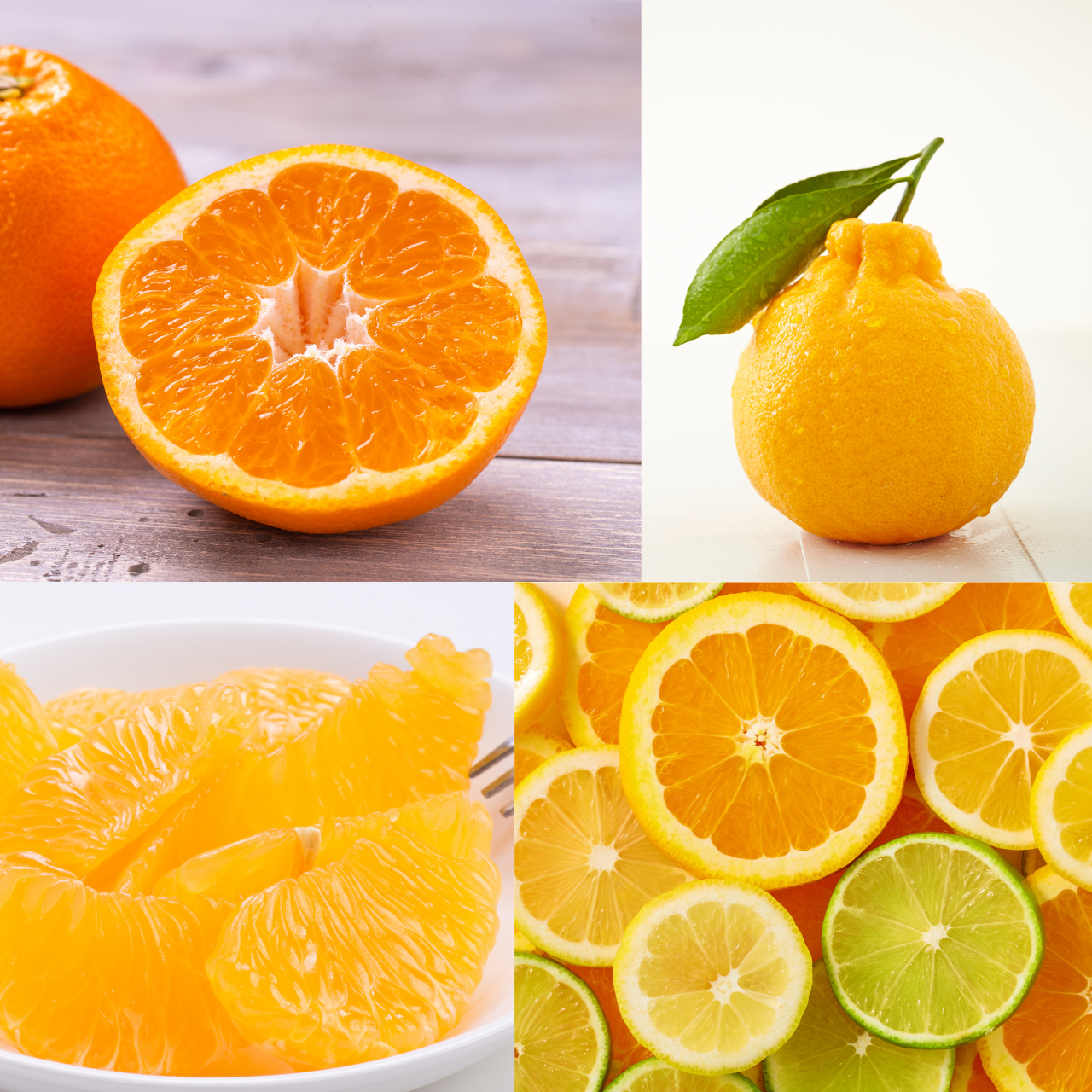 冬に使える国産柑橘を徹底比較｜はっさく・いよかん・デコポン・はるみ・レモン