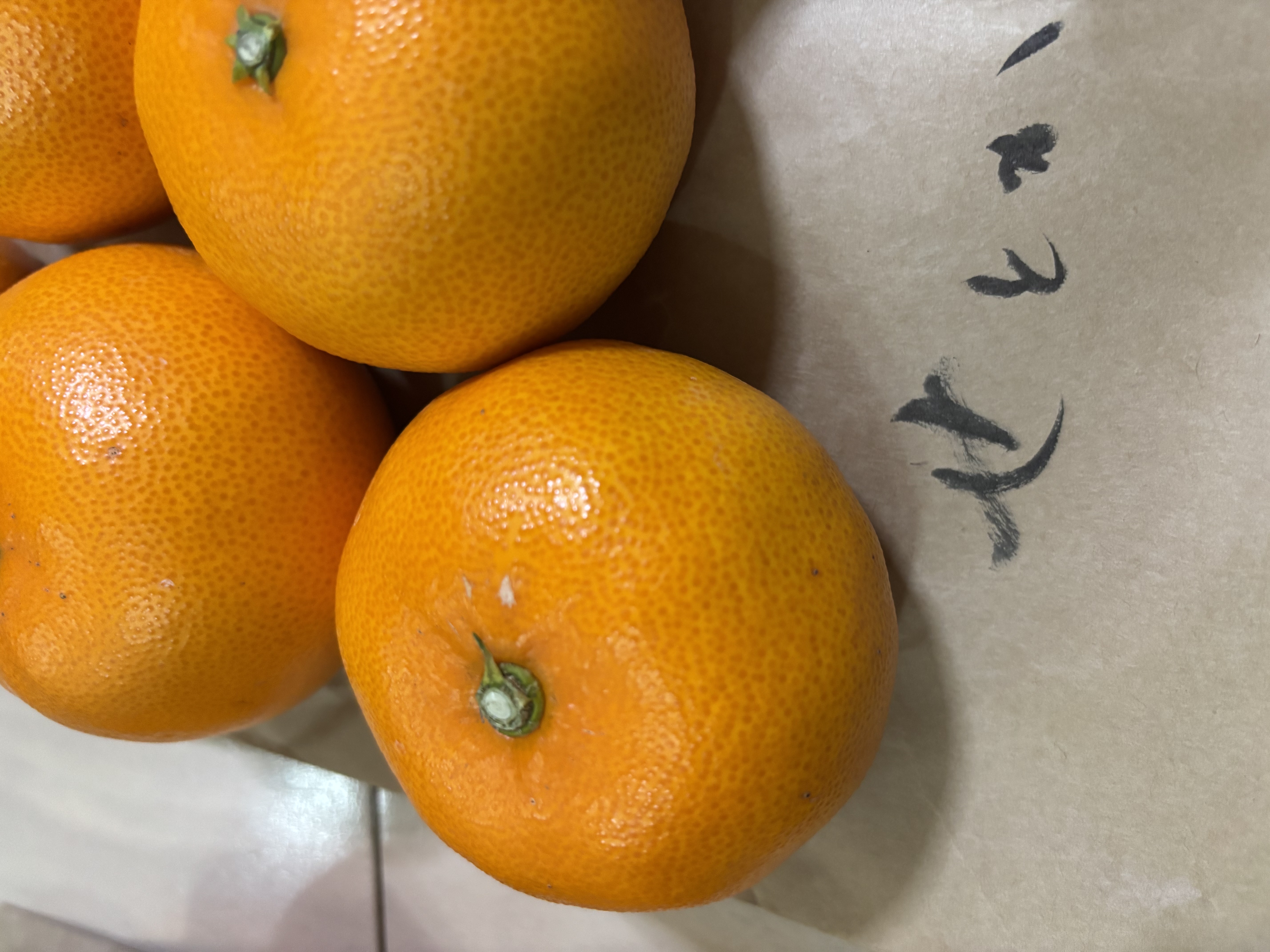 甘ければ売れるわけじゃない。  ―― 柑橘農家の本音