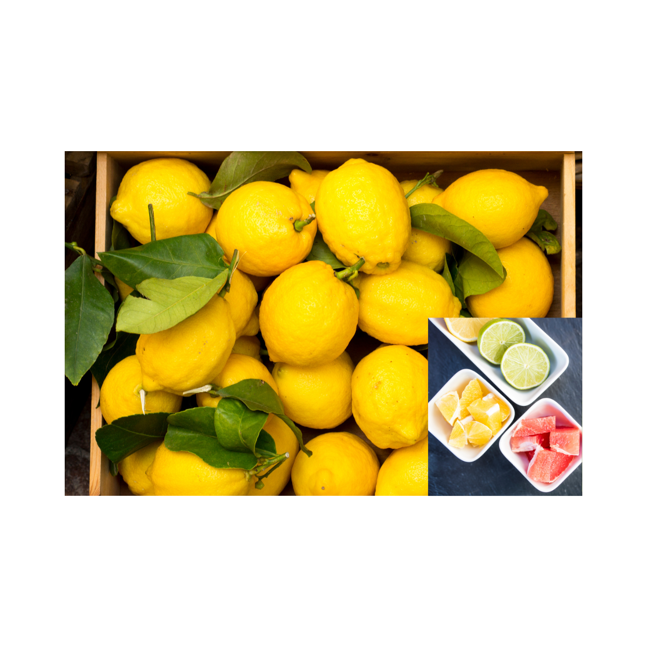 冬柑橘の仕込みと保存方法｜業務用でロスを出さない考え方🍋