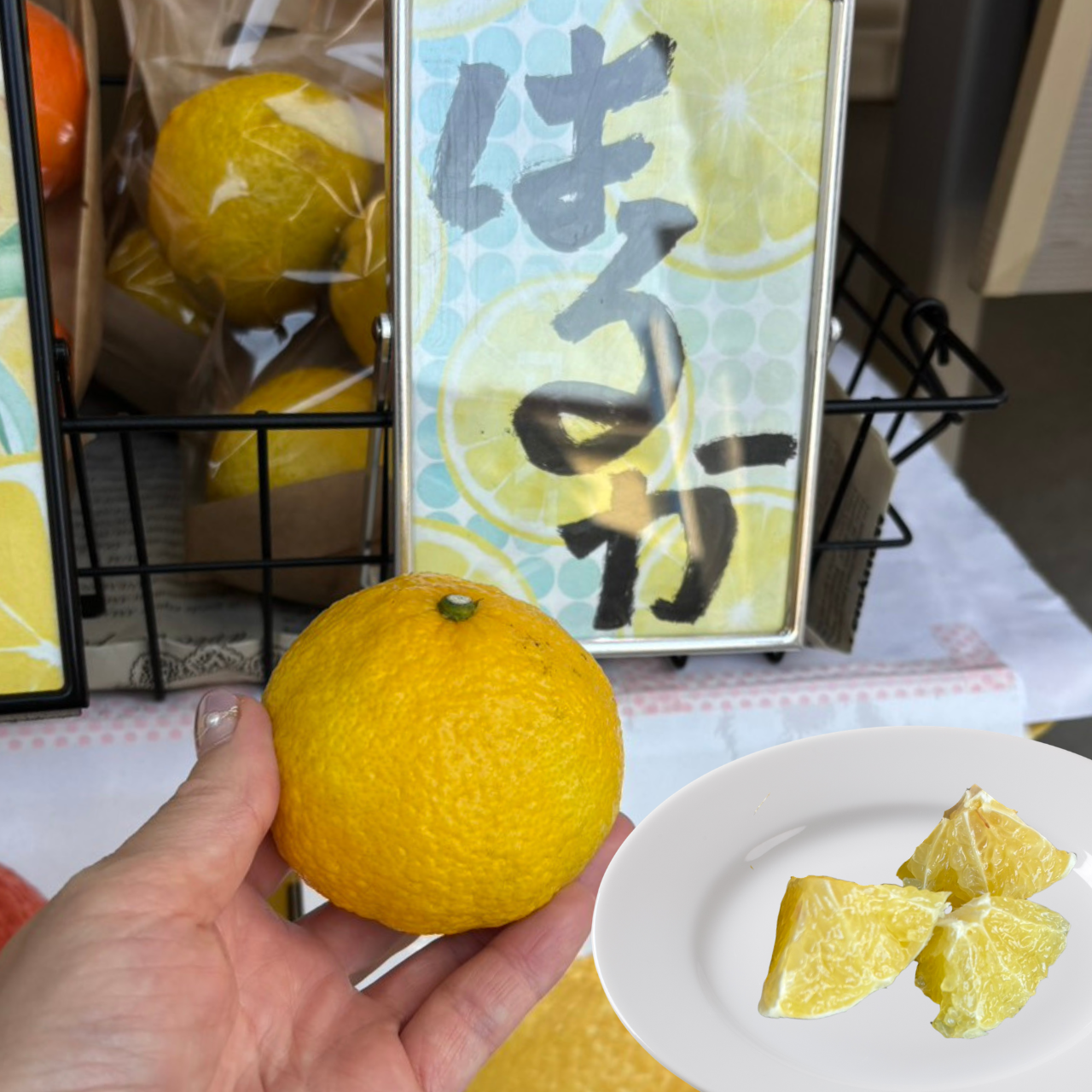 柑橘の旅① 見た目で損をしている柑橘  ―― 広島で出会った「はるか」