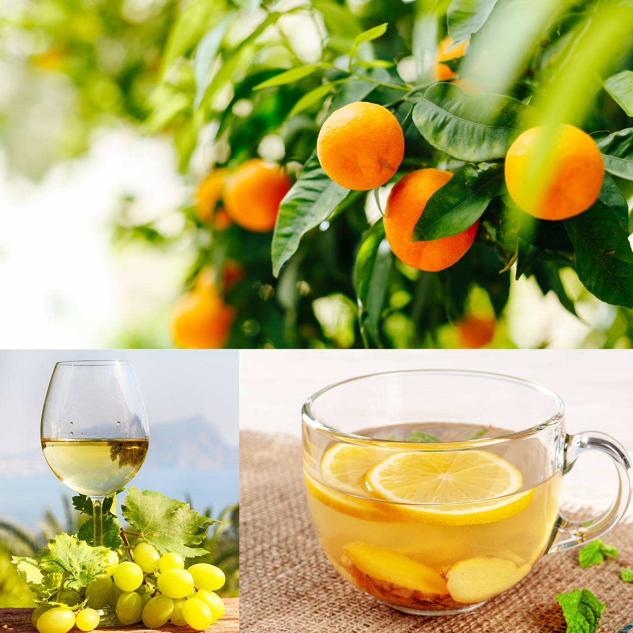 ❄️ 冬ドリンクの定番!レモン・ゆず・みかんの業務用レシピ提案