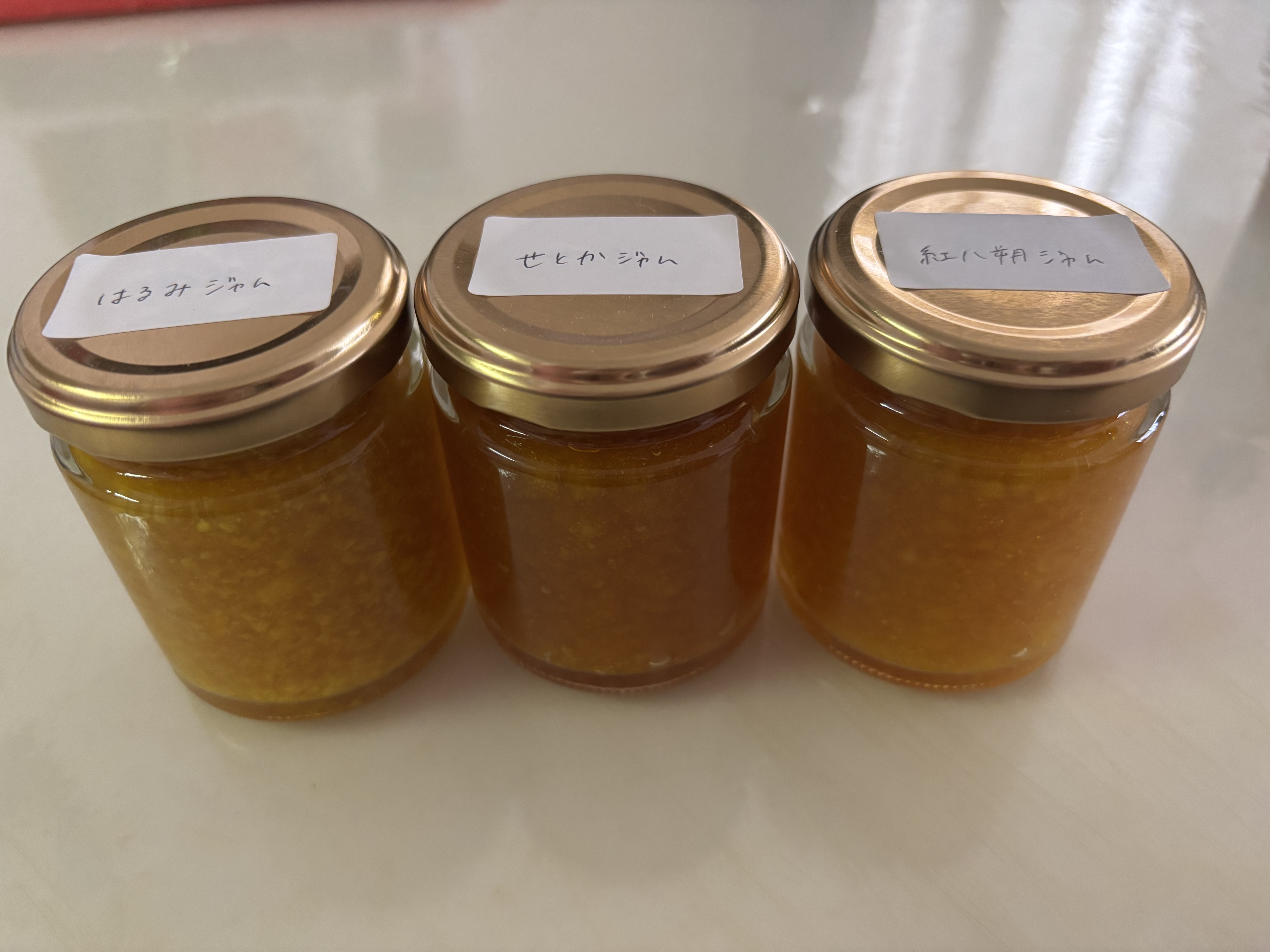 柑橘のシーズンオフに向けて。 せとかジャム、開発中です。