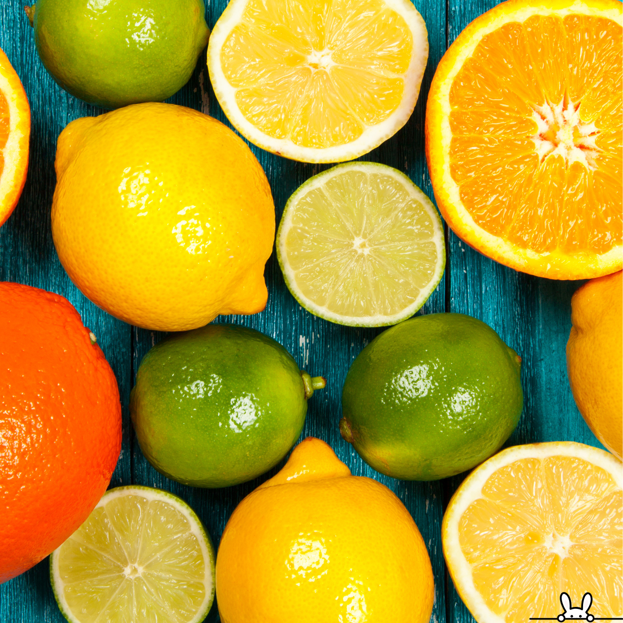 🍊飲食店の仕入れに最適!柑橘の旬カレンダーと価格動向2025