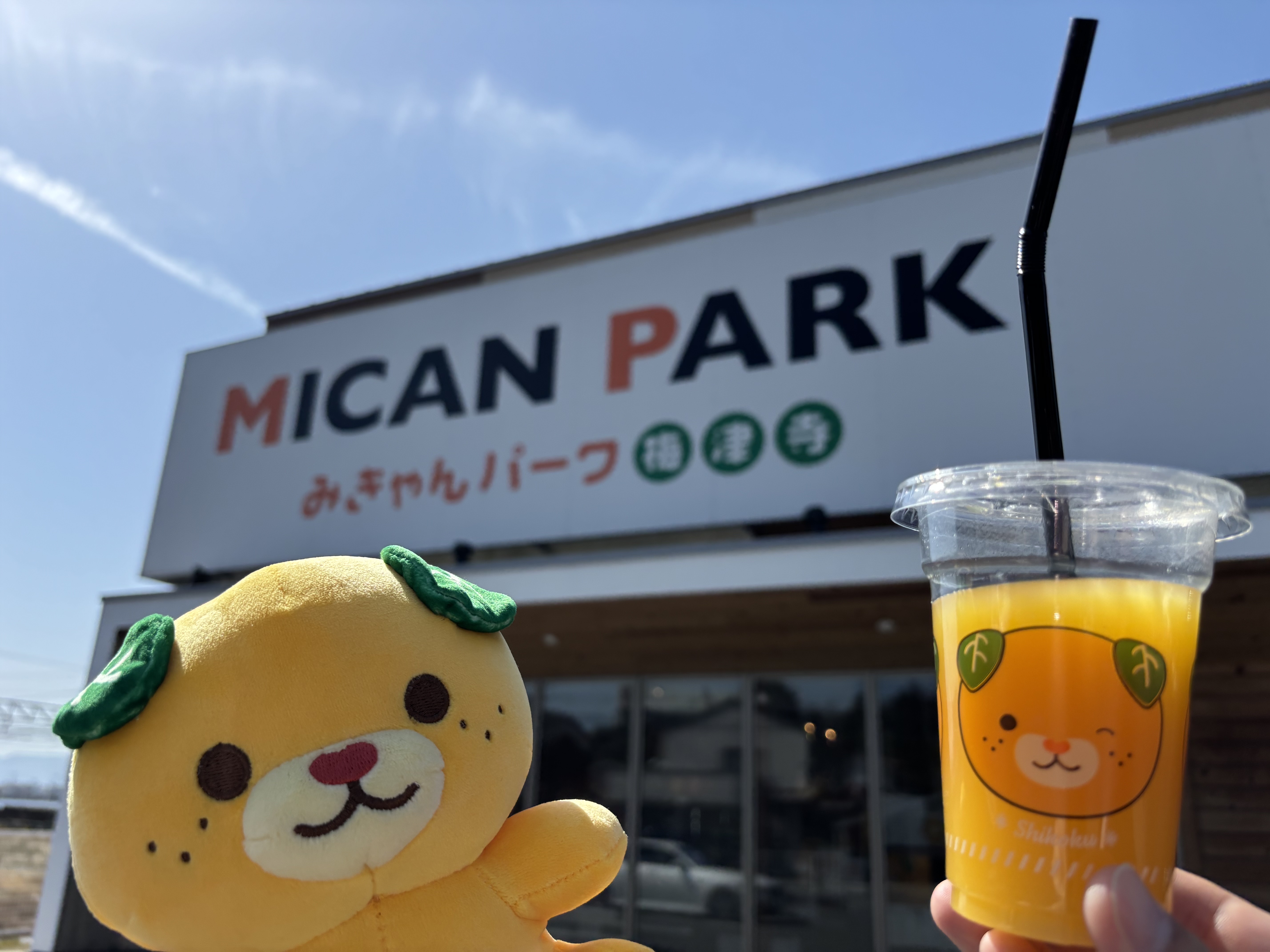 柑橘の旅② 愛媛にはなぜ新しい柑橘が多いのか ―― 産地で感じた「品種が生まれる理由」