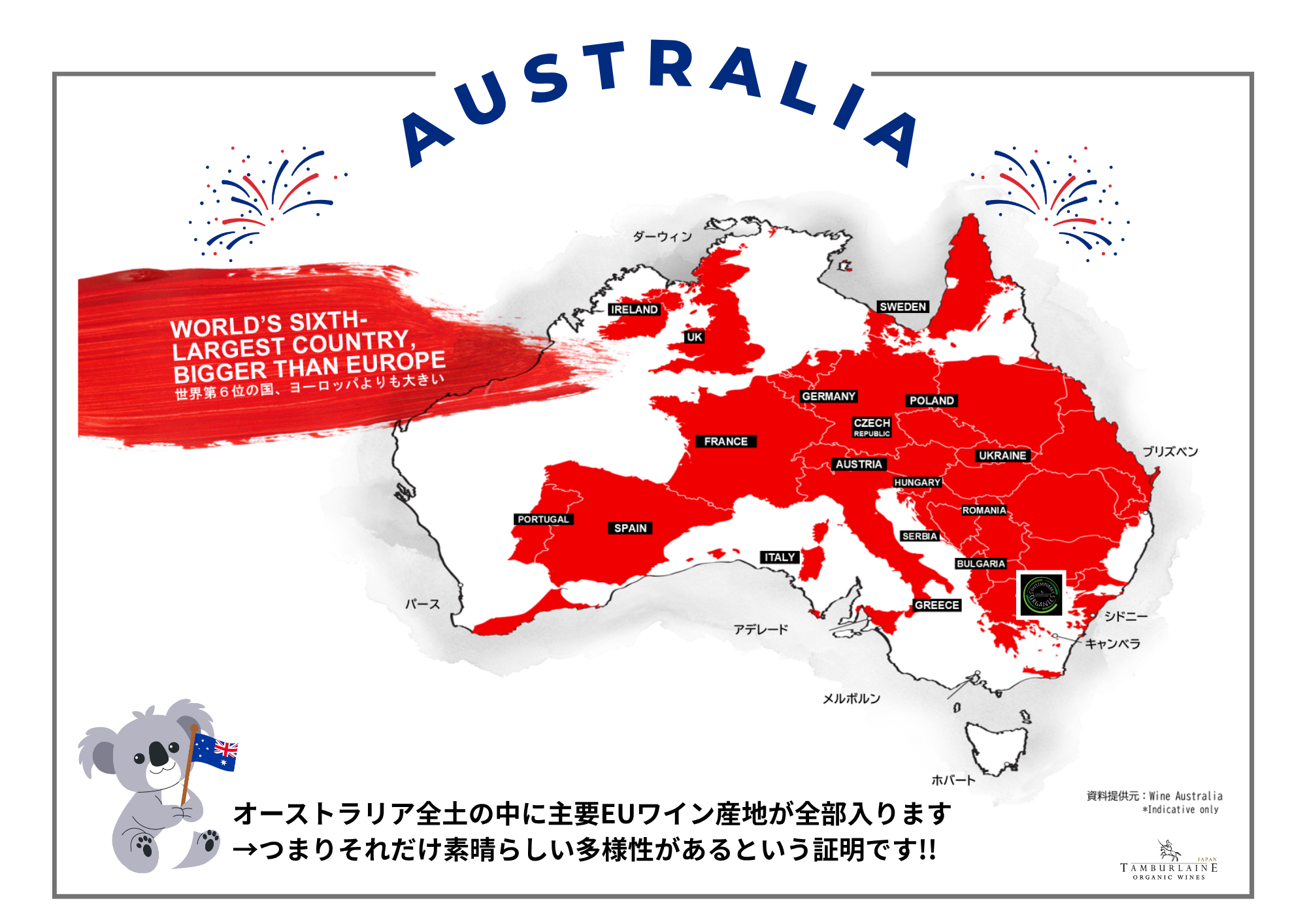 🍷 オーストラリアワインの魅力、知っていますか⁈