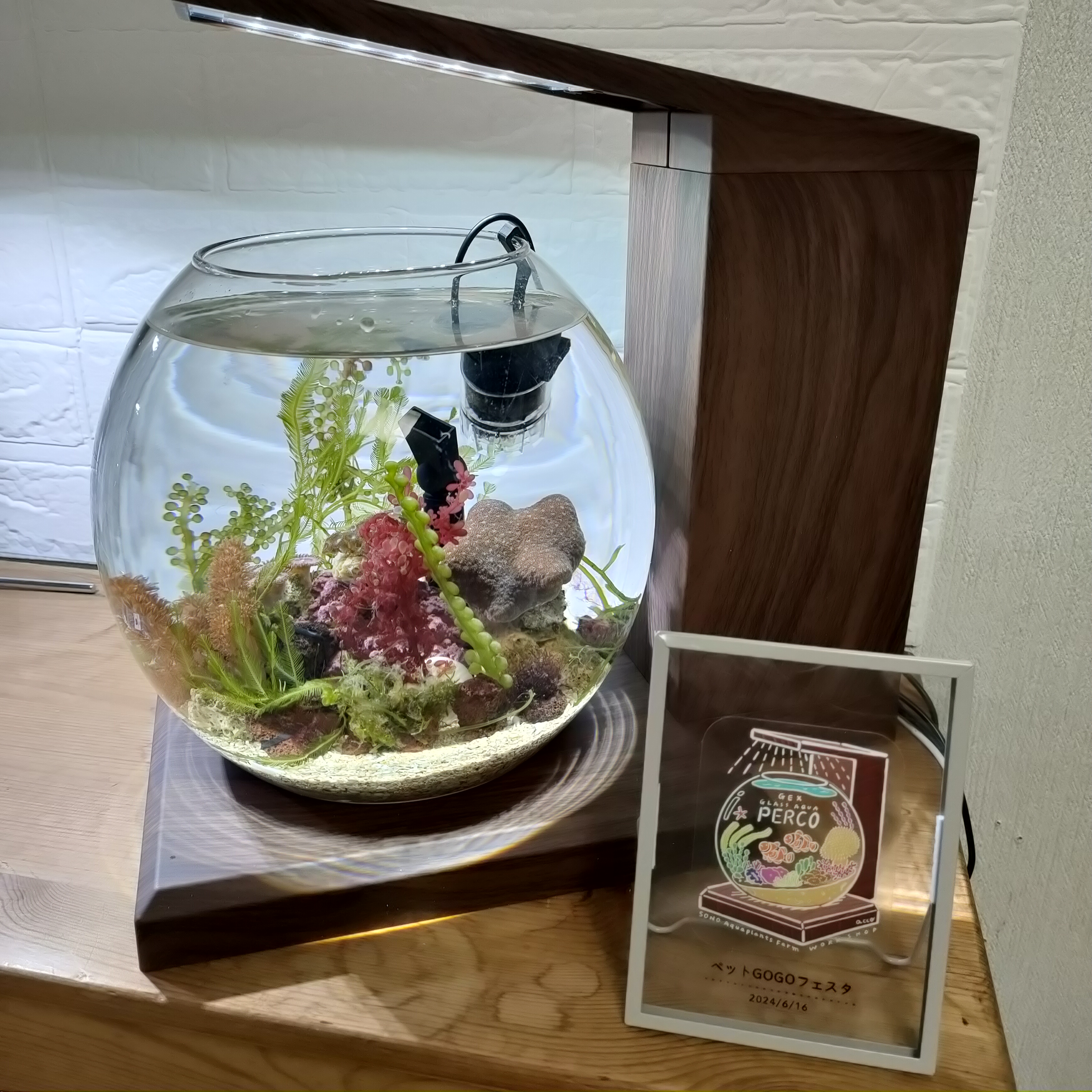 【一時発送中止】6/28〜7/2