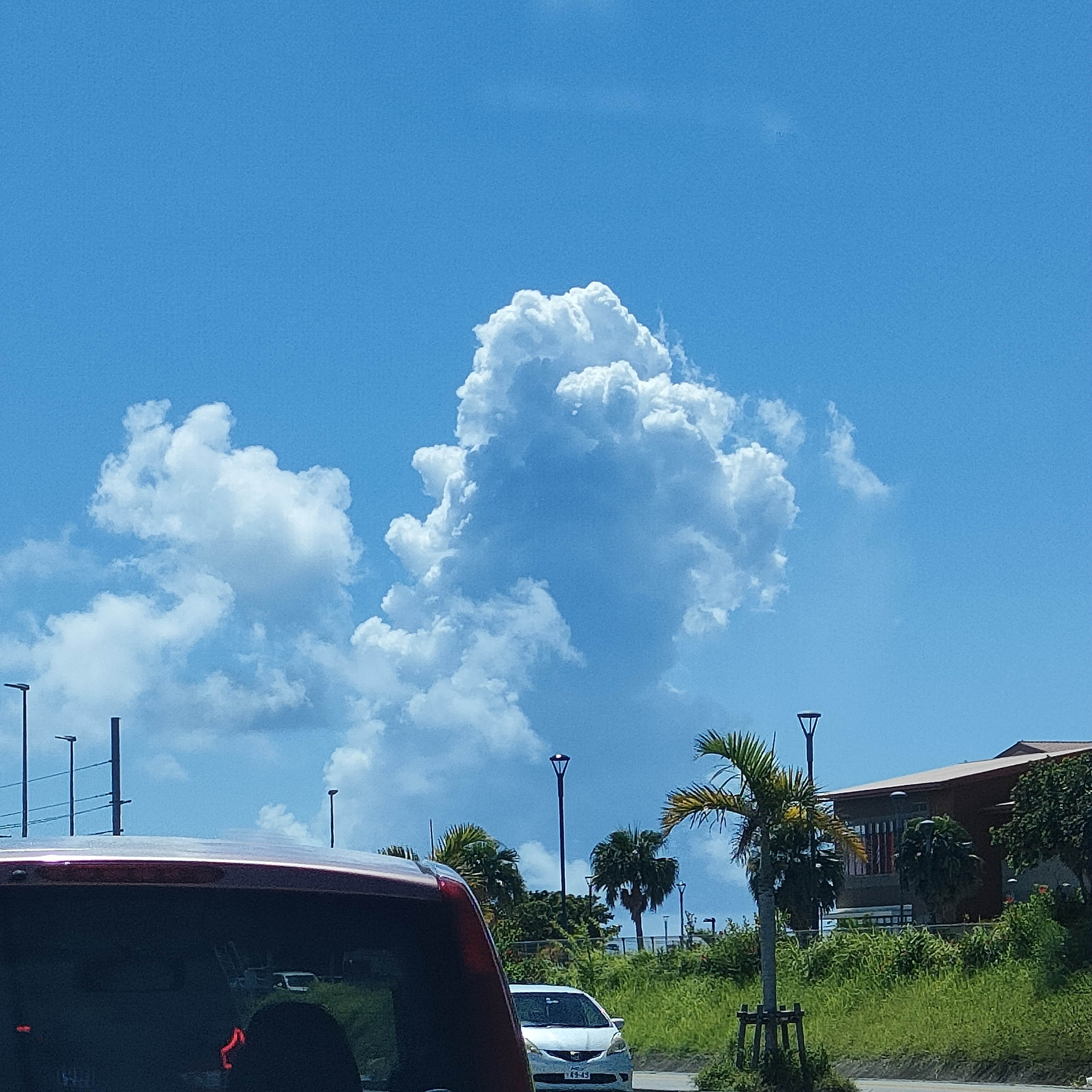 【発送&生産一時ストップ中】