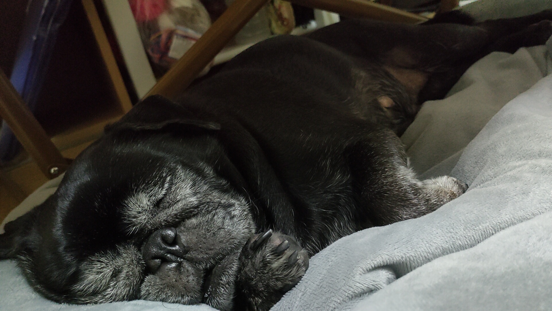 【大量注文について】