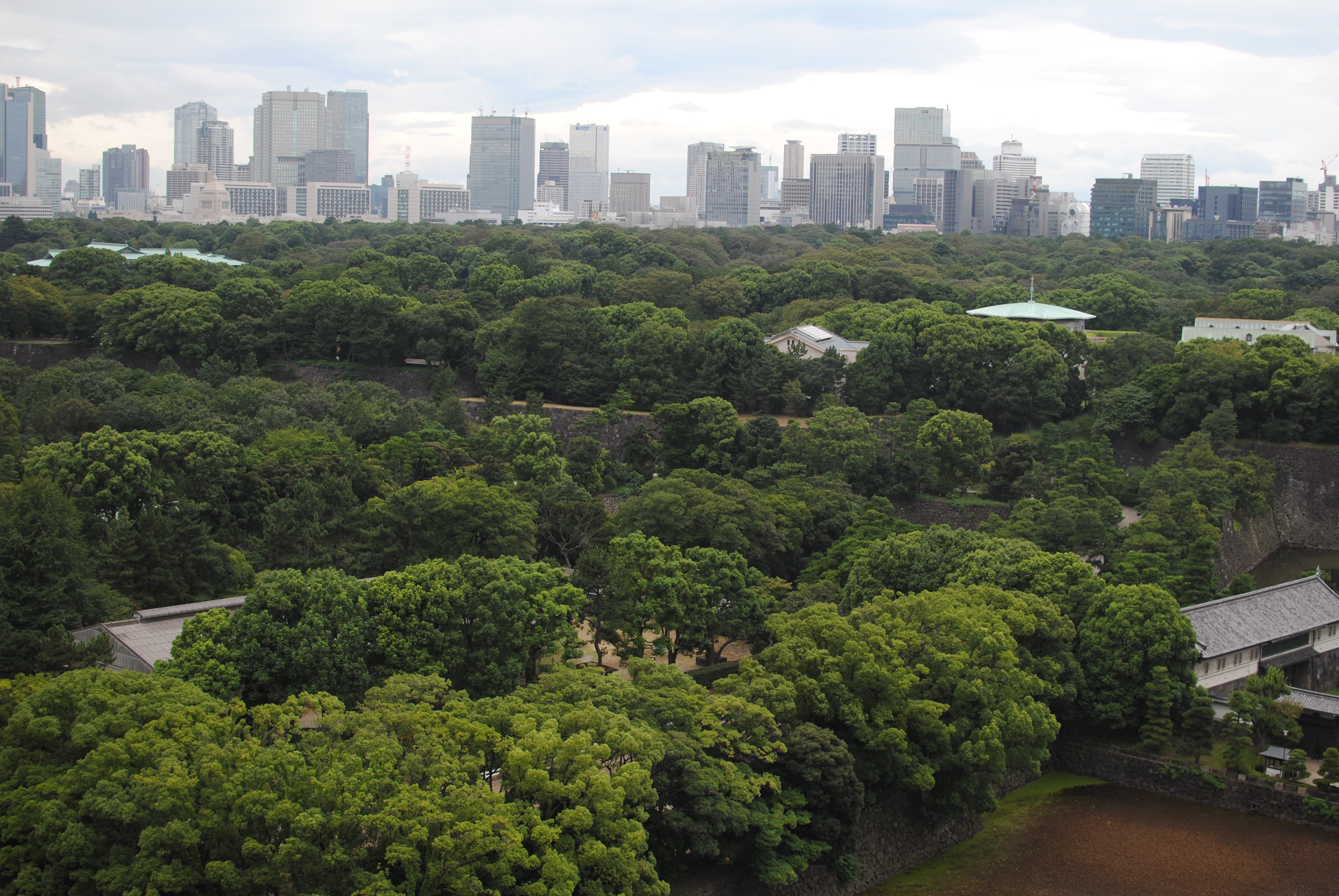東京旅行８