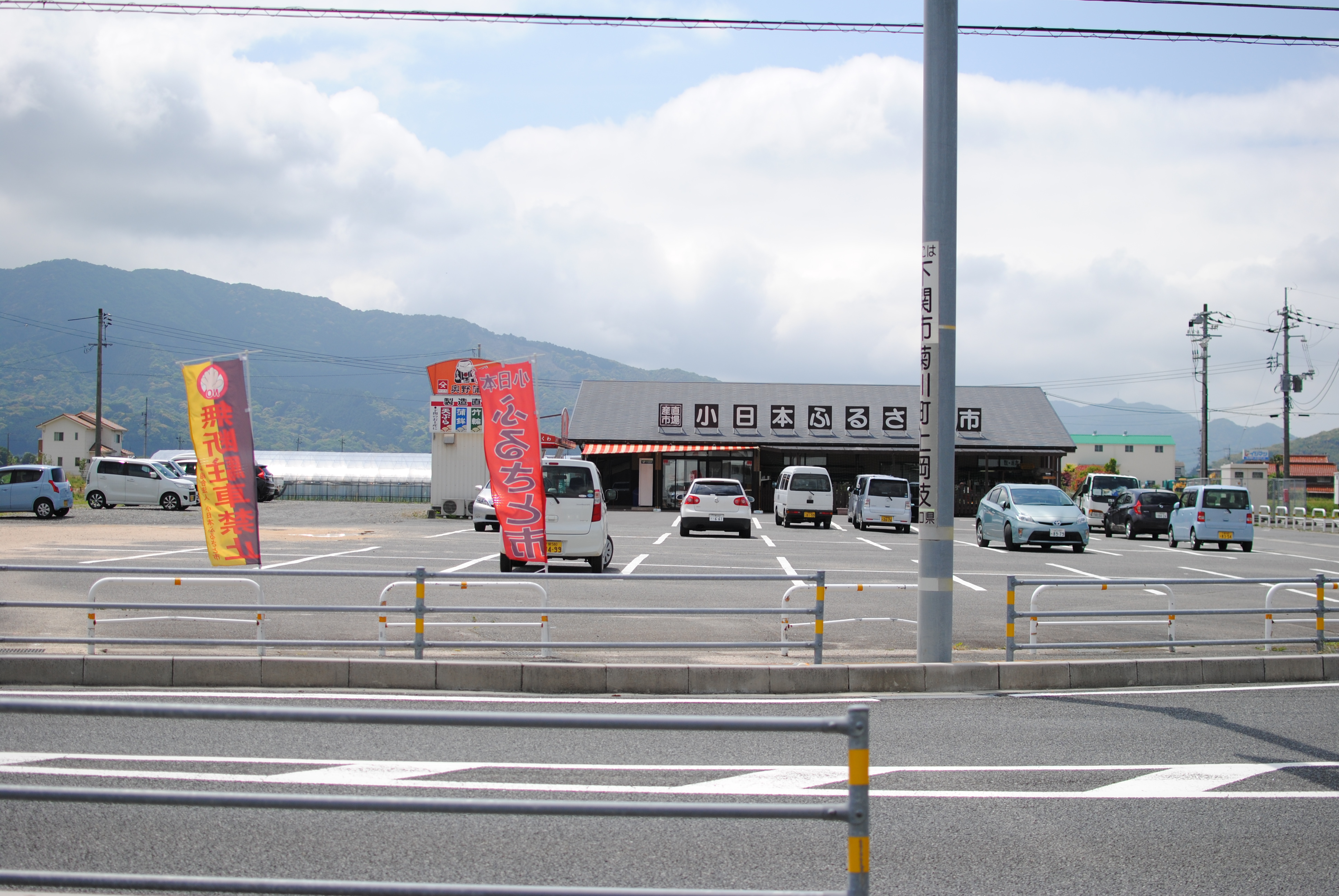 なんか落ち着く菊川。