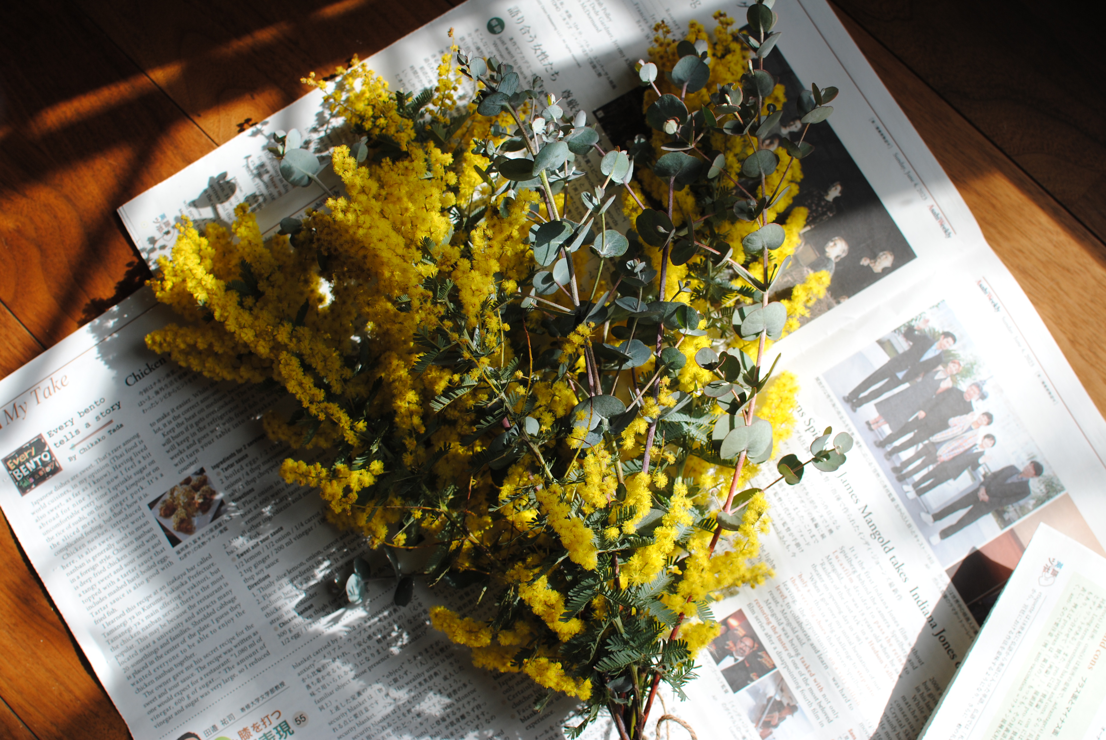 ミモザとユーカリ。