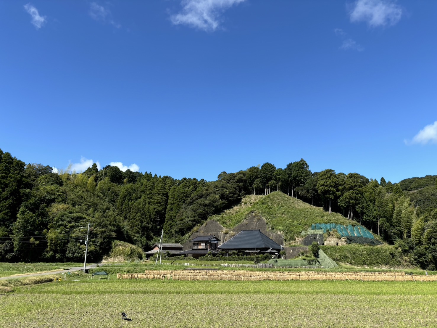 【CLAYD】CLAYD田んぼプロジェクト稲刈り篇に遊びに行ってきました