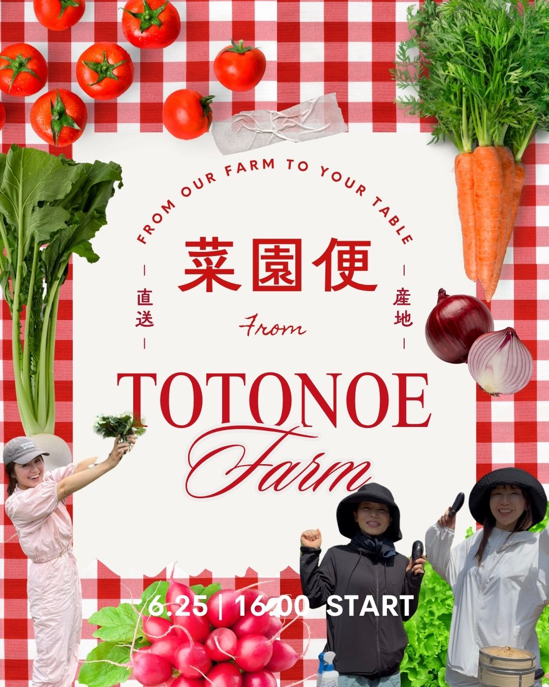 【TOTONOEFARM】6/25 スタート　TOTONOE菜園便　第二弾