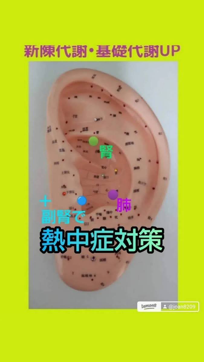 ③新陳代謝・基礎代謝UP