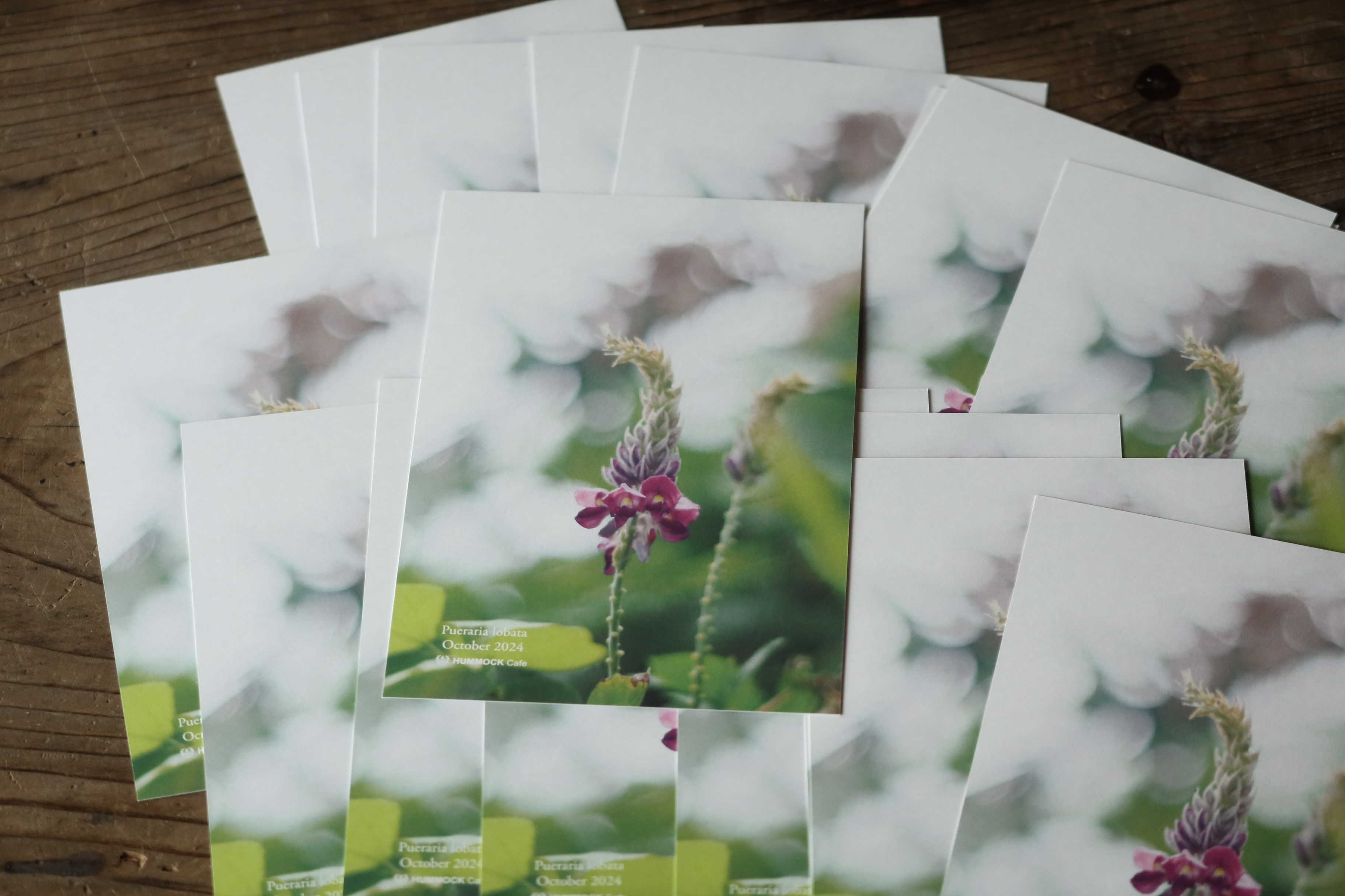 Season Greetings Wildflower Postcard