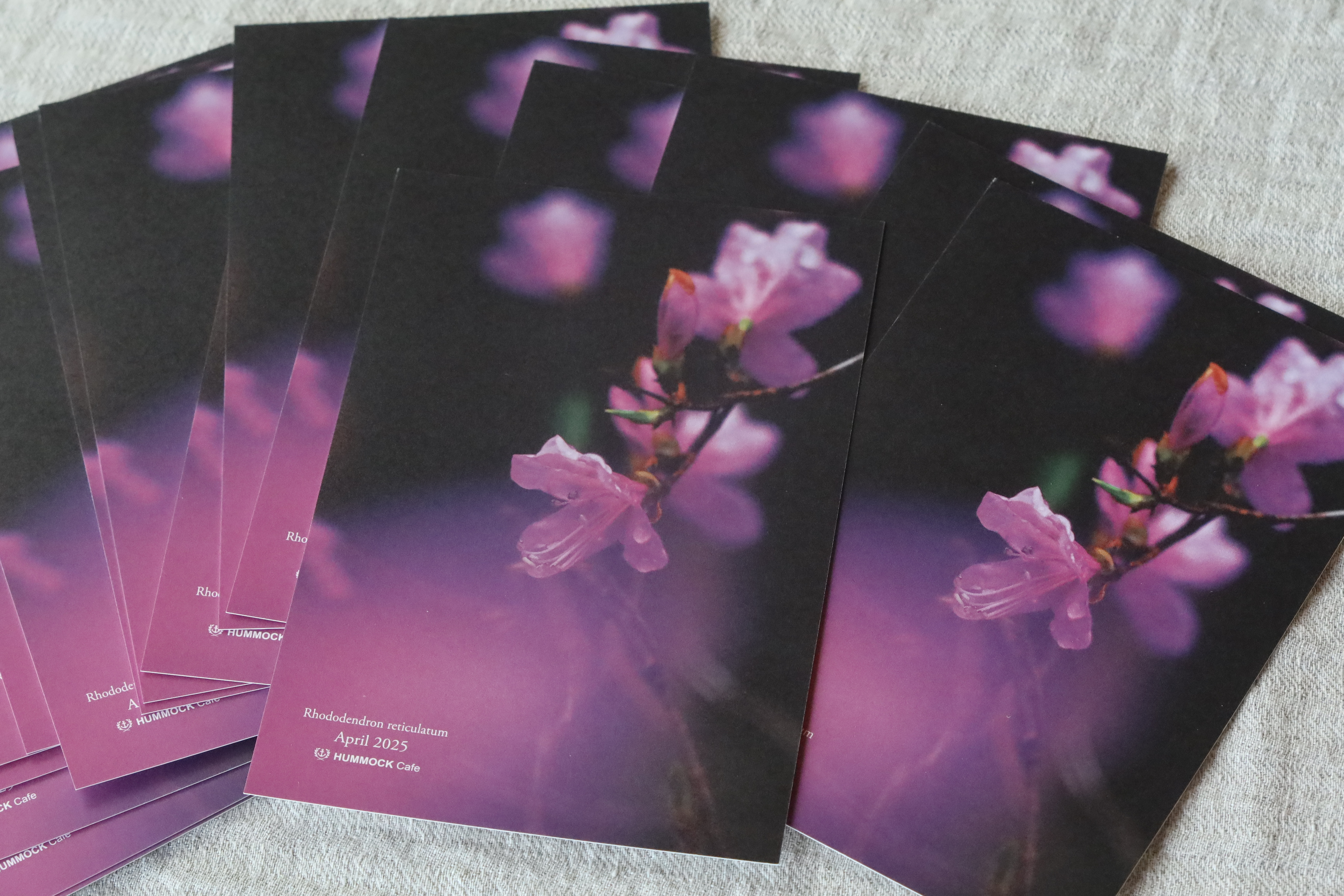 Season Greetings Wildflower Postcard