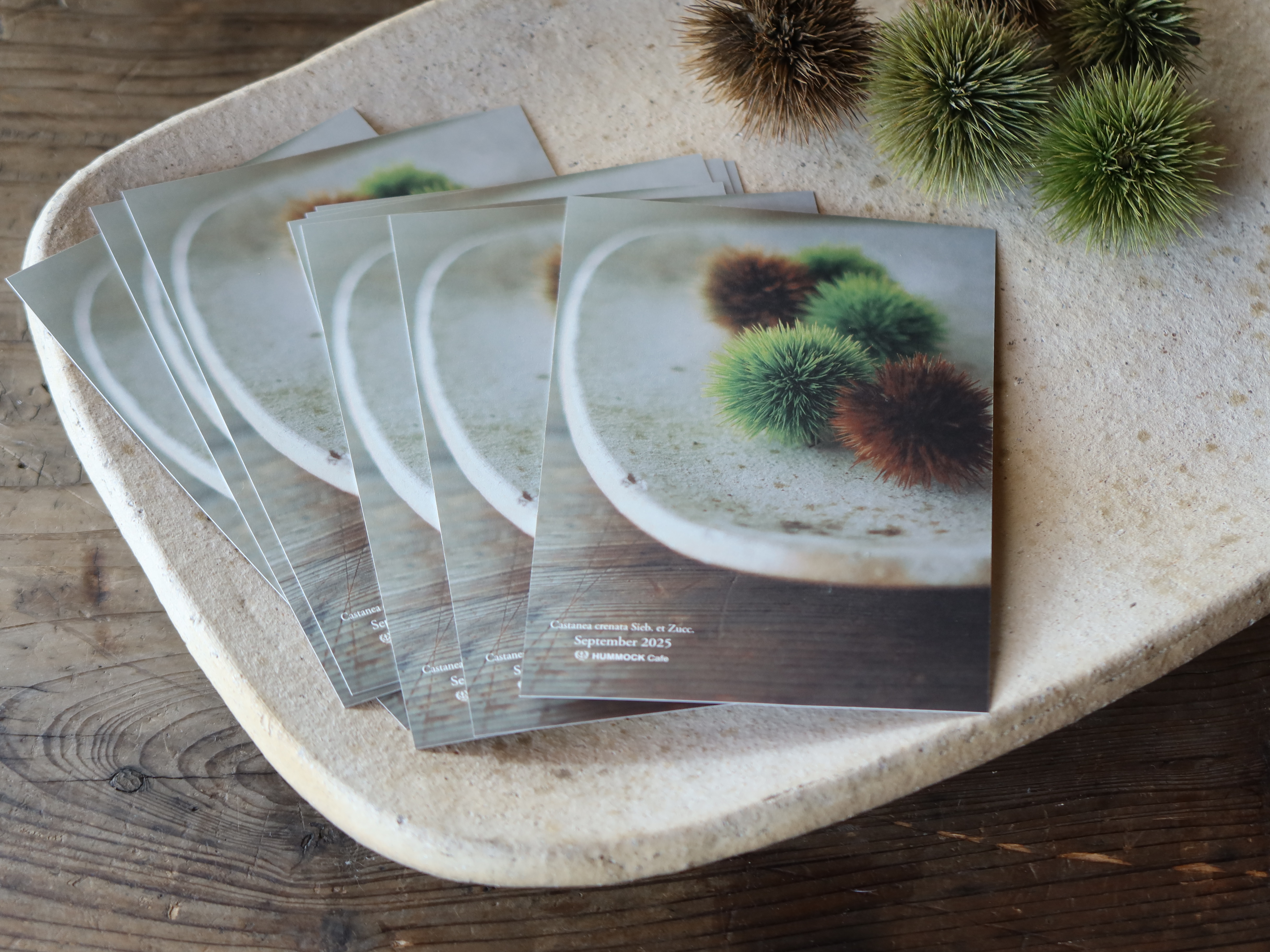 Season Greetings Wildflower Postcard