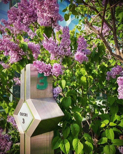 月曜に週刊少年ジャンプを読むという習慣