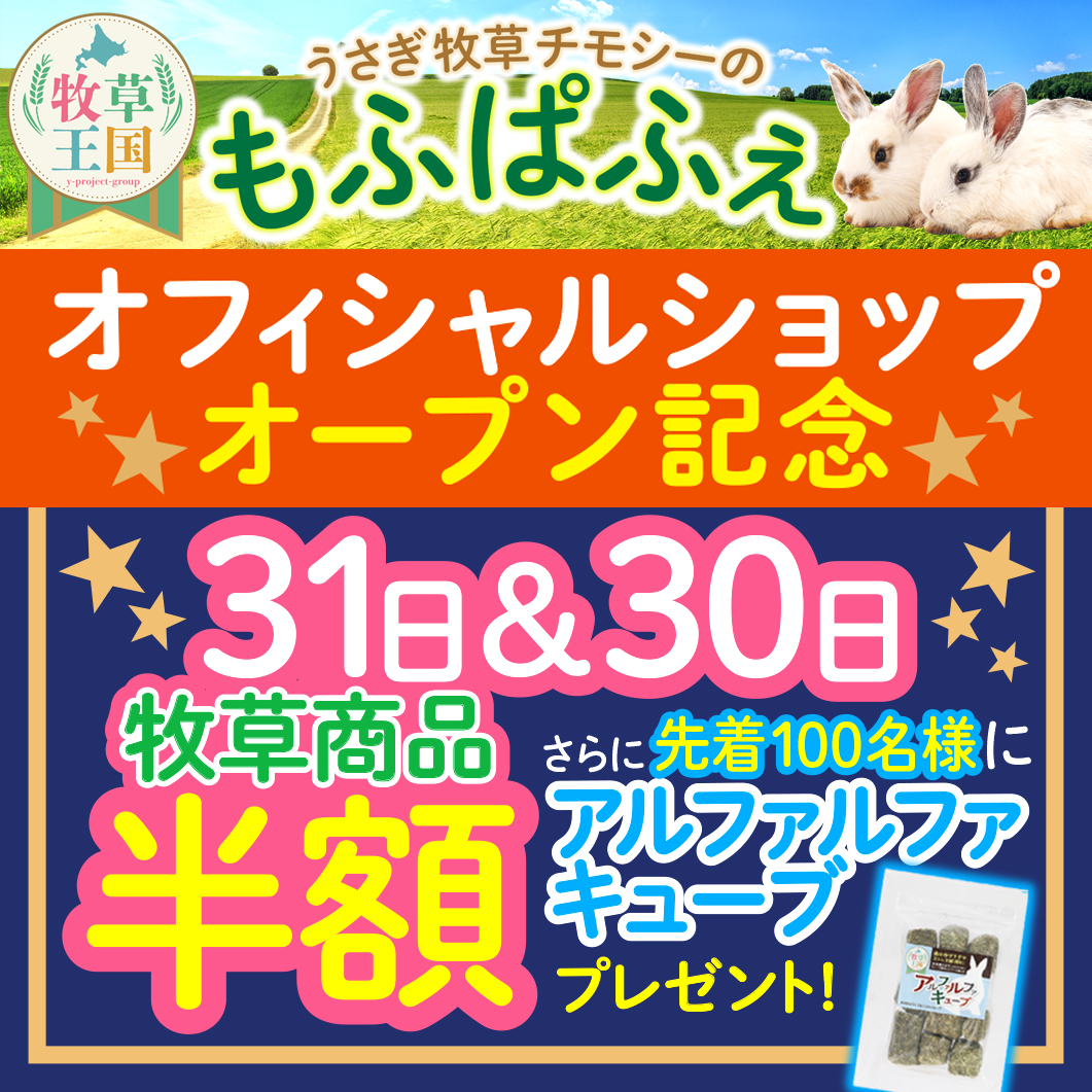 オフィシャルショップオープン