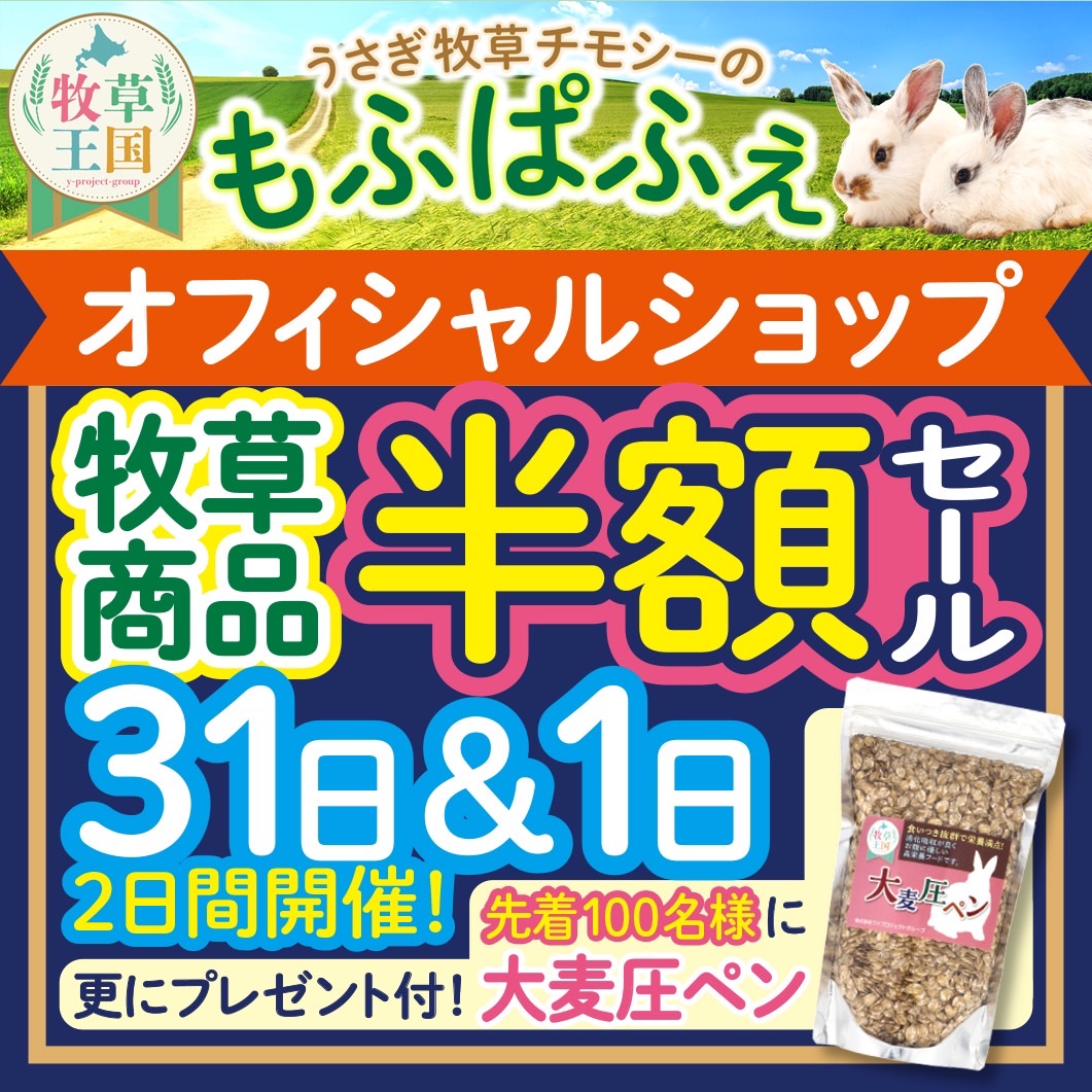 オフィシャルサイト 開店1ヶ月記念半額セール