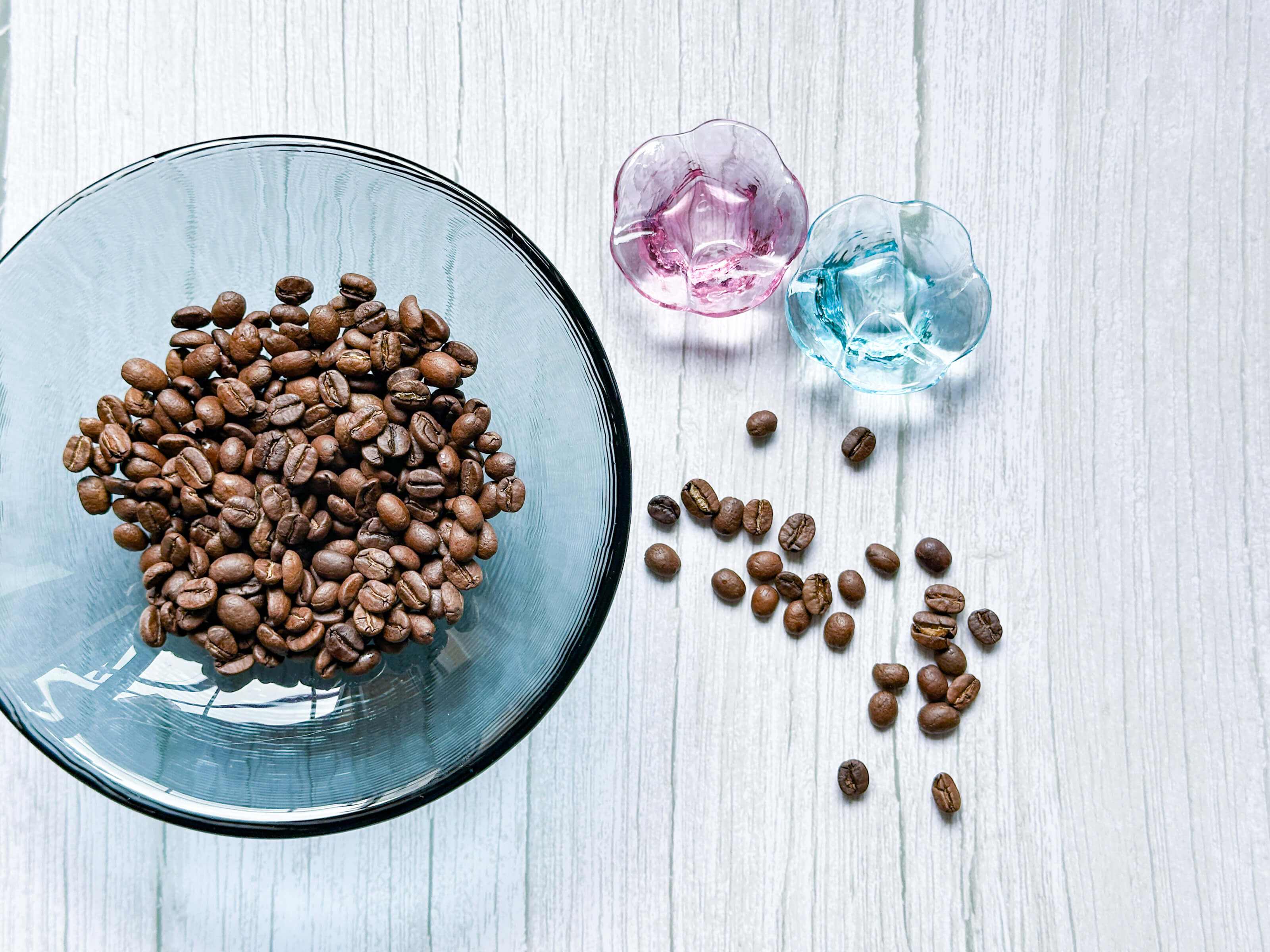 コスタリカ新豆販売のお知らせ