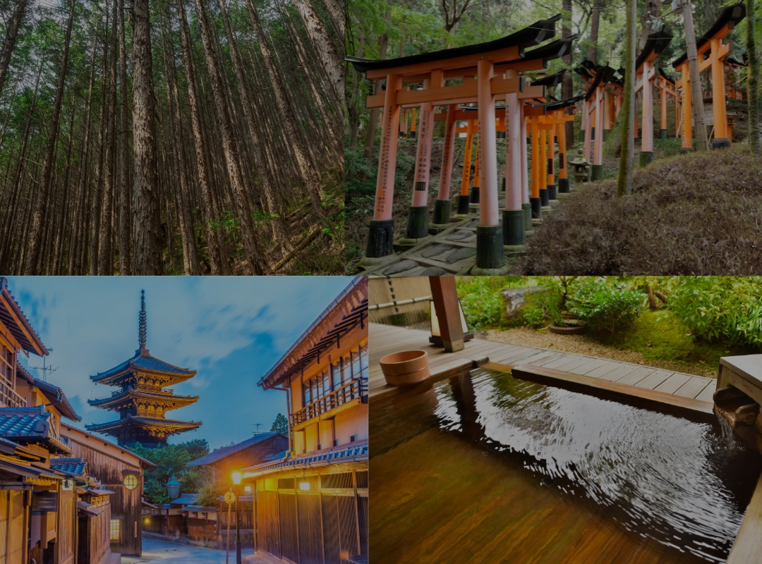 What is Hinoki?