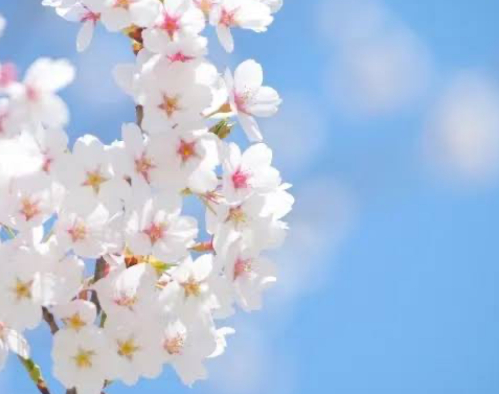 春に起こる花粉症や肌の痒みについて