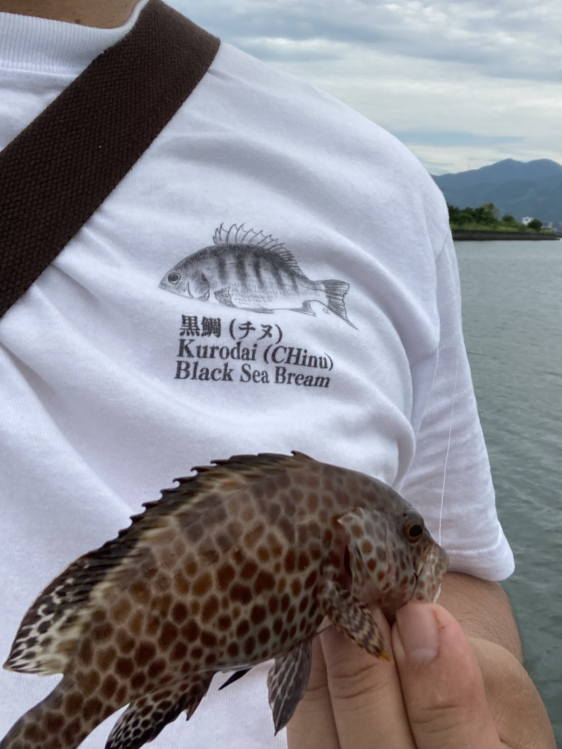 釣りに行ってきました