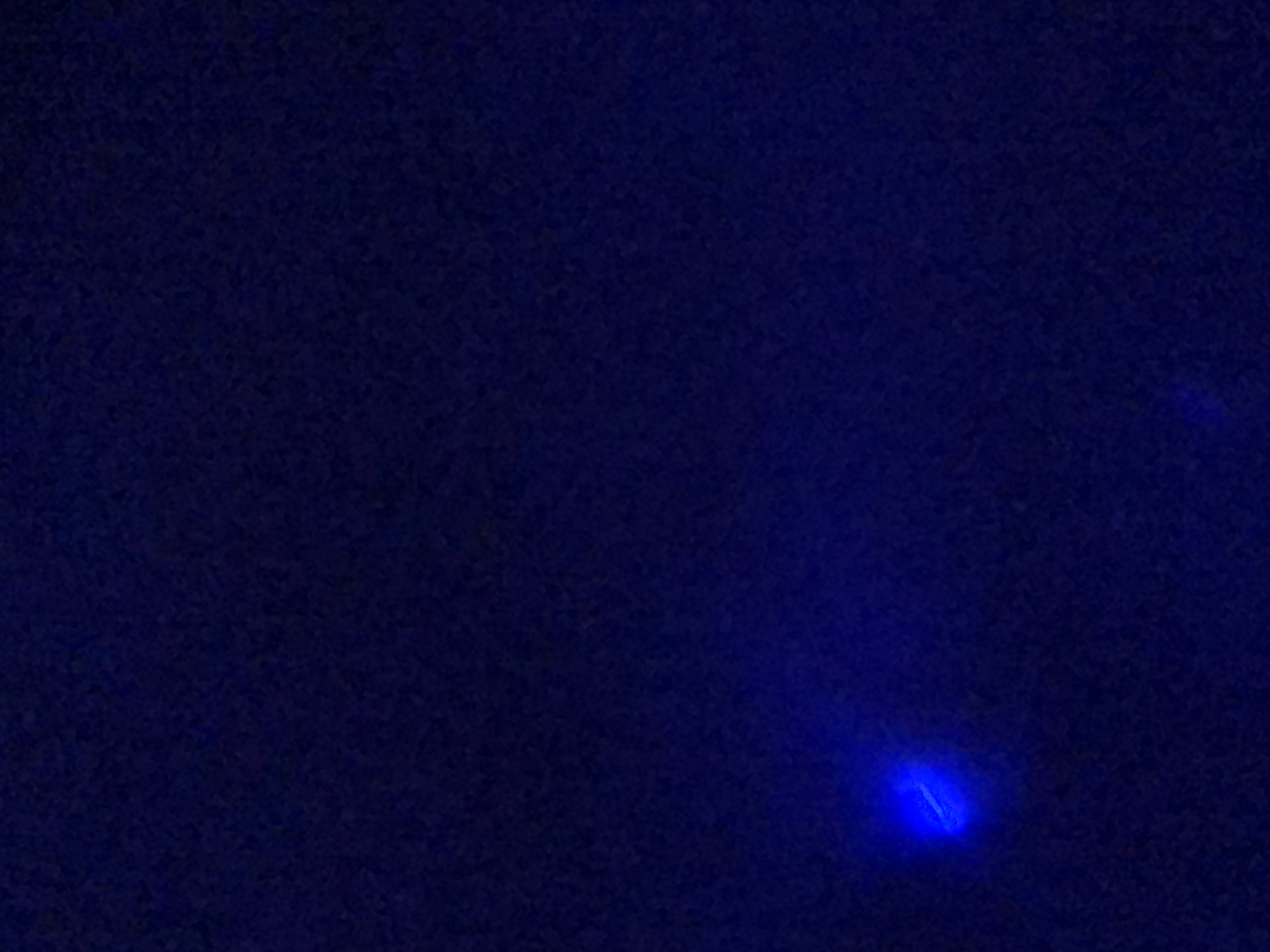 ヒキガエル