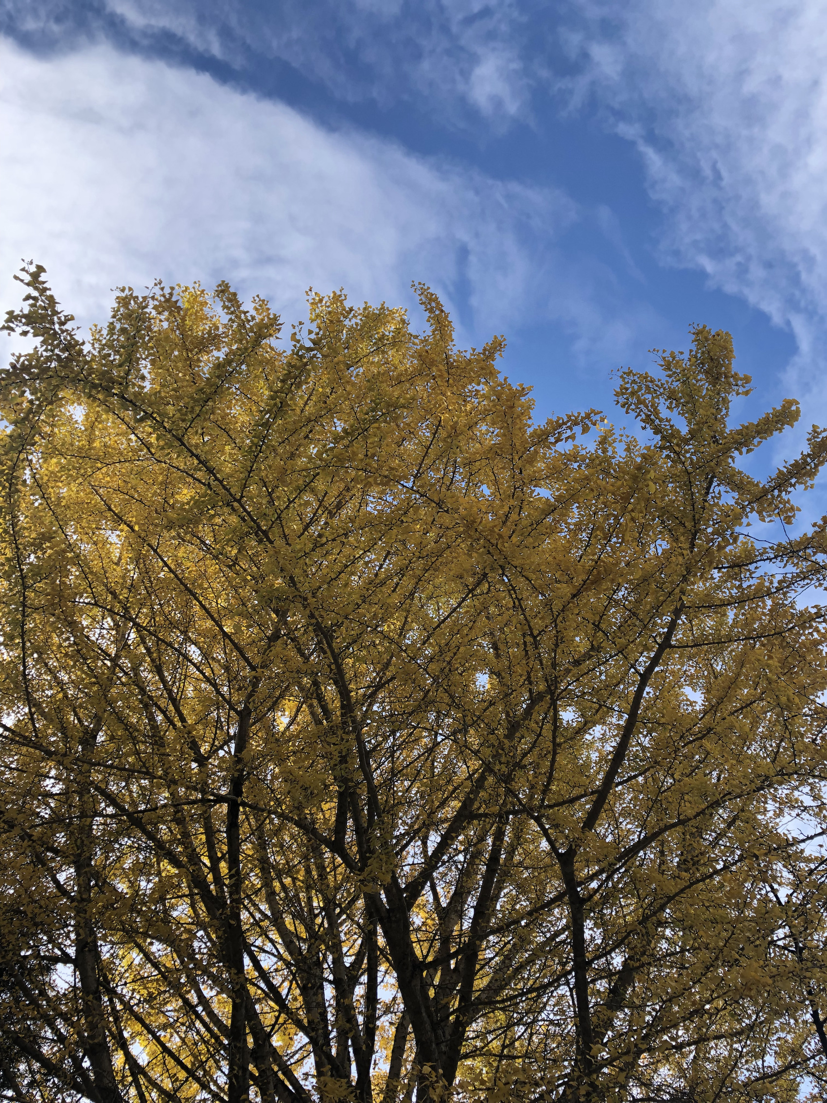 大月町姫の井にて〜